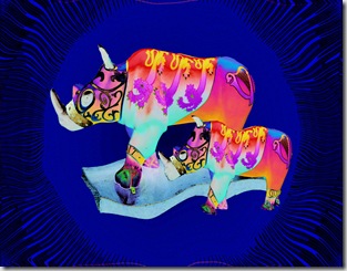 rhino1b