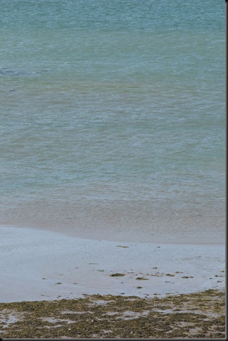 estuary 030