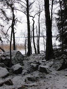 Compact Sweden: trees, snow, lakes, rocks