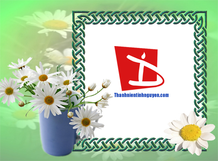 aohaiday.com - Khung hình hoa cỏ...