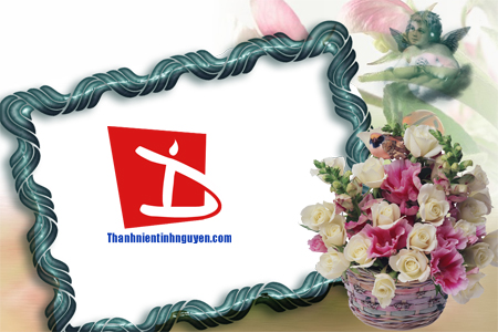 aohaiday.com - Khung hình hoa cỏ...