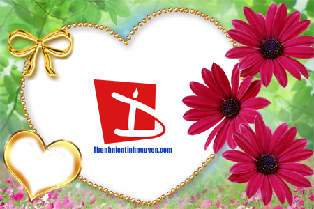 aohaiday.com - Khung hình hoa cỏ...