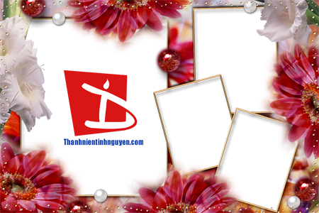 aohaiday.com - Khung hình hoa cỏ...