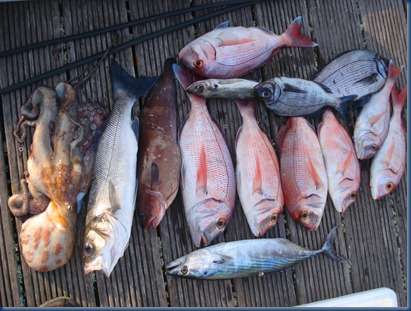 Pesca com JM Pesca com JM