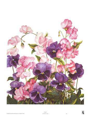 LAMINAS... Y TRABAJOS CON FLORES