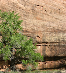 b 027.jpg