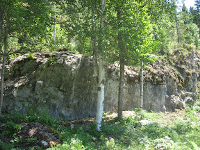 IMG_2639.jpg