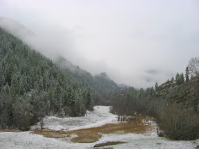 IMG_1231.jpg