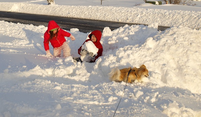 [kids snow pics[5].jpg]