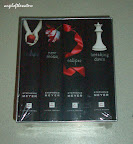  twilight book