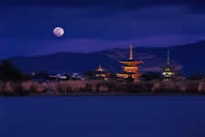 Landscape