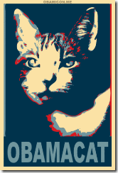 obama_cat