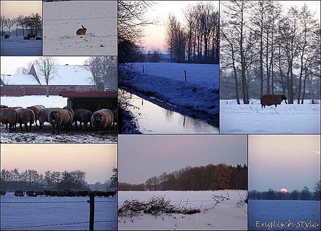 [Winterpret 20091[12].jpg]