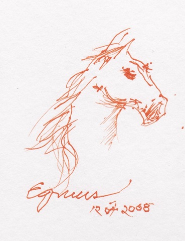 [Equus[5].jpg]