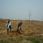 P1020164.JPG