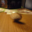 P1020789.JPG