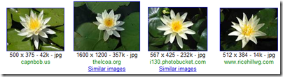 image image