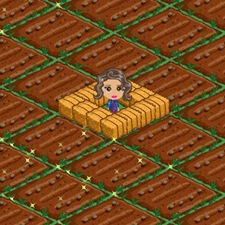 Farmville 2