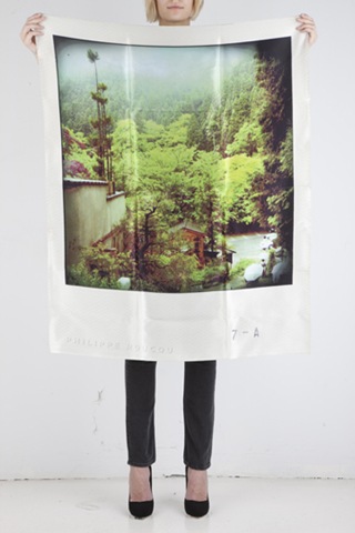 [PolaroidScarvesatReborn710.jpg]