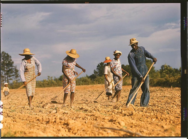 [AmericainColor35.jpg]
