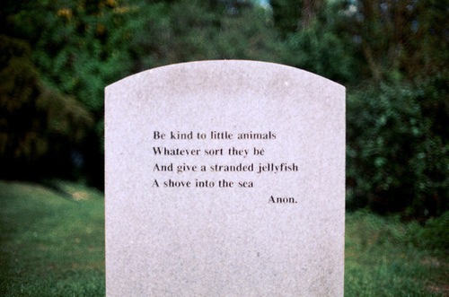 [BeKindToAnimalsWeHeartIt5.jpg]