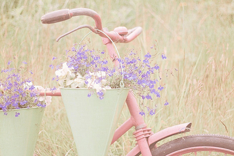 Flowers and bicycle
