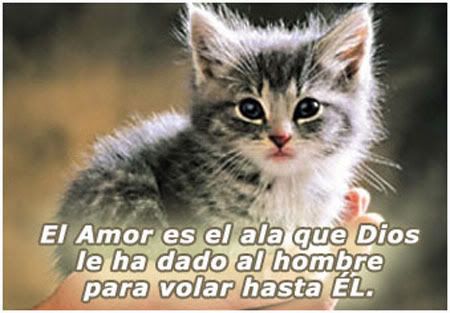 imagenes del amor de dios. textos de amor.