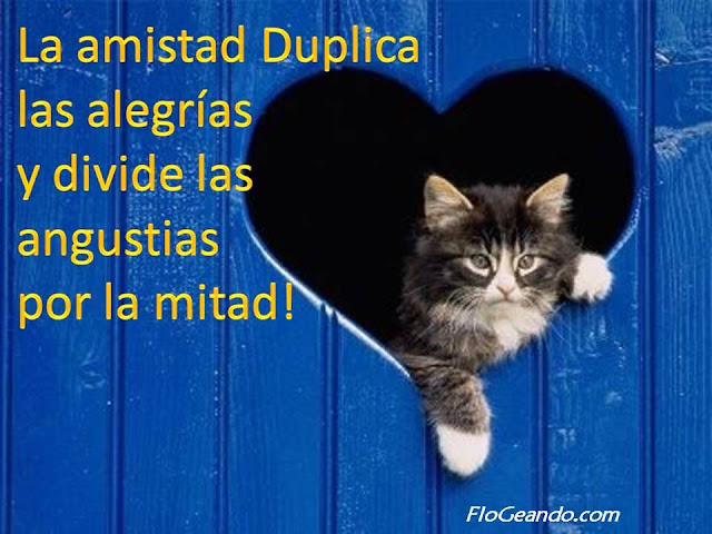 Postales de amistad