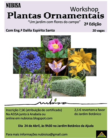 [wpo-24abr09[4].jpg]