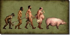 evolucion