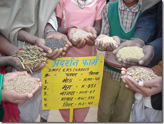Improved_seeds