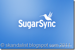 SugarSync image