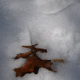New England