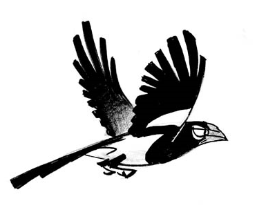[Magpie_1[5].png]