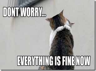 everythingisfinenow