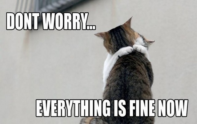 [everythingisfinenow[31].jpg]