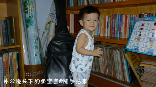 外公镜头下的鱼宝宝