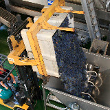 Harvest 2007