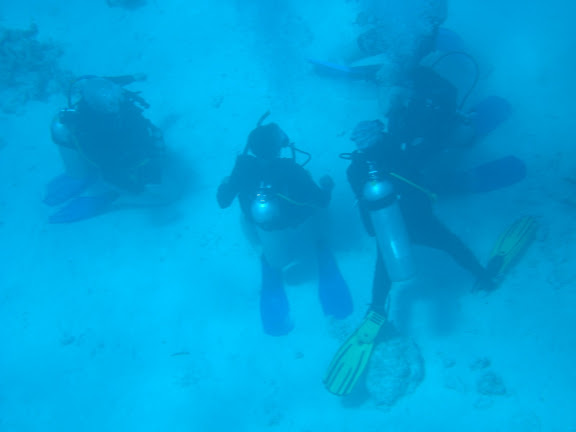 Tauche in Hughada