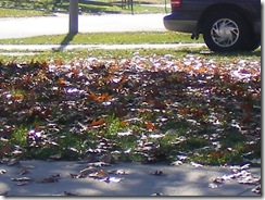2008_11090003