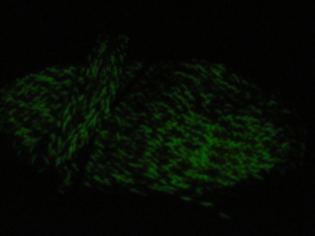 [2008_11300003[2].jpg]