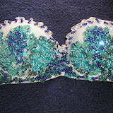 b-blue2 $70.000.JPG