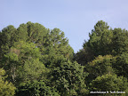 Sibolga Slideshow