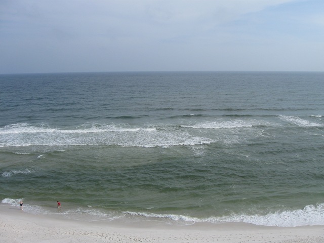 [gulf shores may 2010 005[10].jpg]