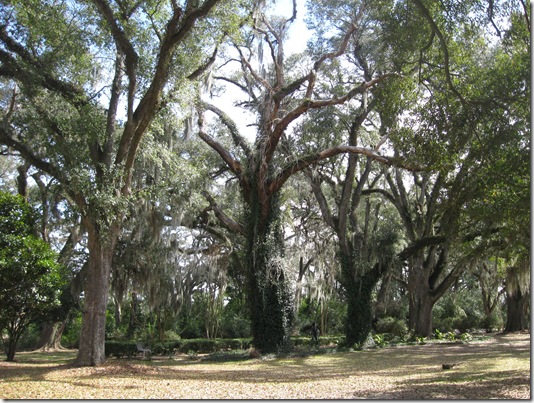 THE MYRTLES 053