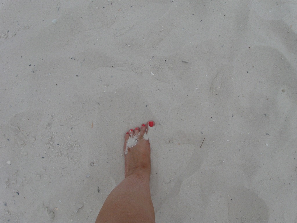 [beach2-2011-0276.jpg]