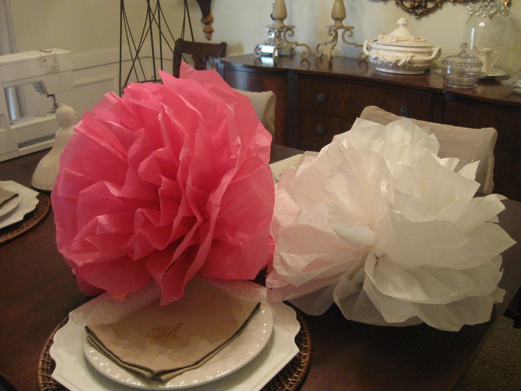 [tissue paper poofs 004[6].jpg]