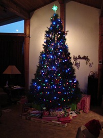 [DSC04765[9].jpg]