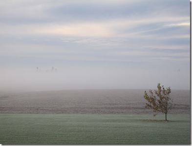 Foggy morn 10-27-09 (5)