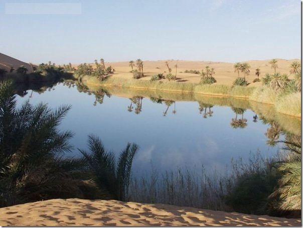 20 most incredible desert oasis2